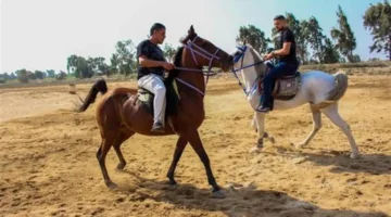 مواقع الفروسية في القاهرة والجيزة أفضل وجهات لهواة ركوب الخيل وتعلم الفروسية 1